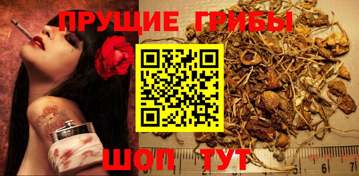 как найти наркотики  Галлюциногенные грибы Psilocybine cubensis  Вход с VPN  Добрянка  Псилоцибиновые грибы мицелий 